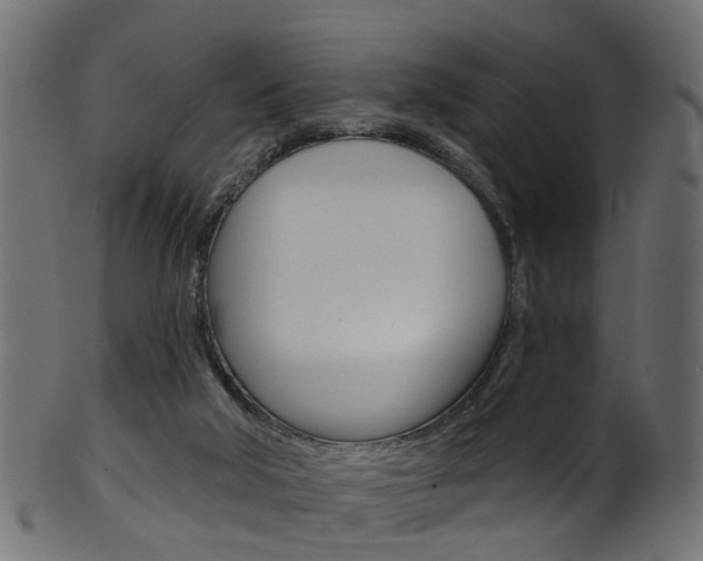 X0000102040018200807181041