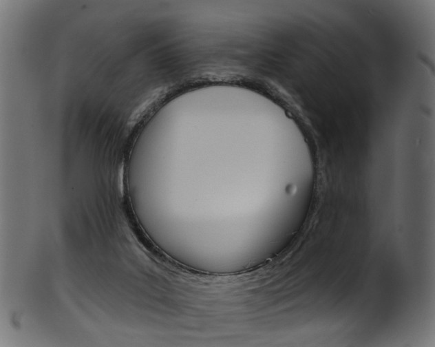 X0000102040019200807181041