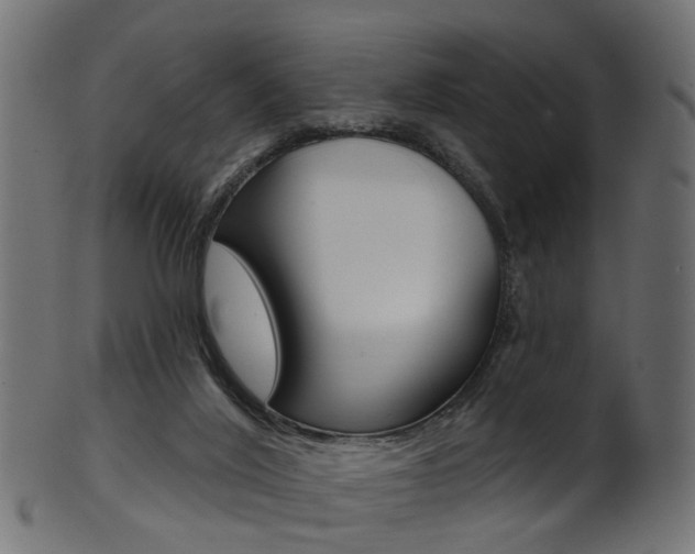 X0000102040020200807181040
