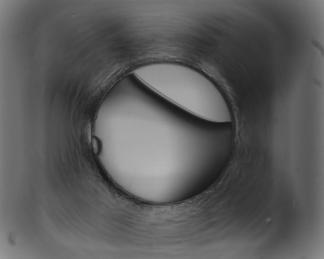 X0000102040021200807181040
