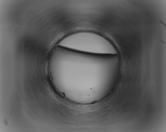 X0000102040023200807181040