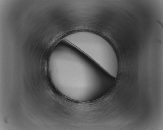 X0000102040024200807181040