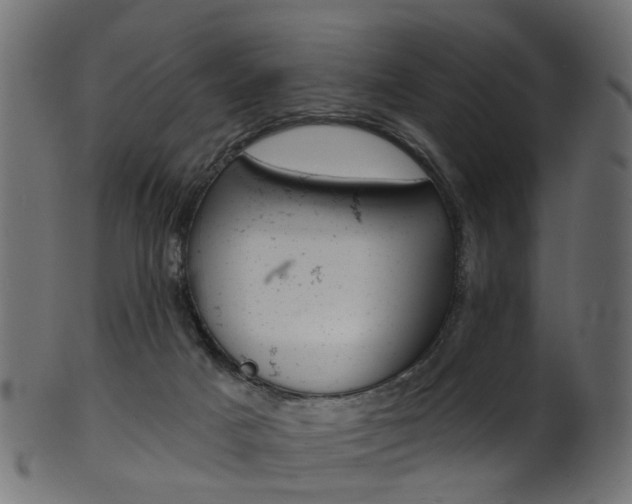 X0000102040025200807181040