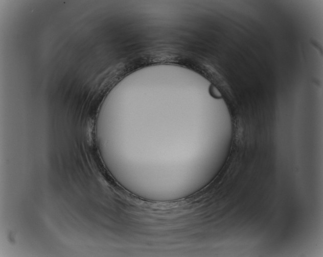 X0000102040026200807181040