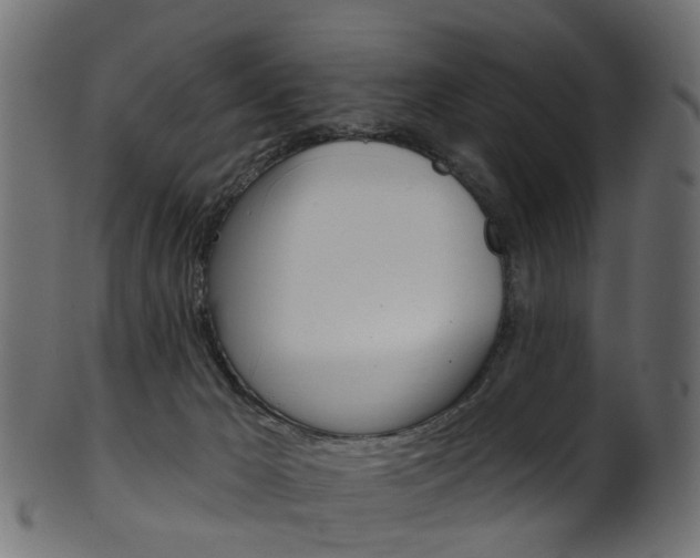 X0000102040029200807181040