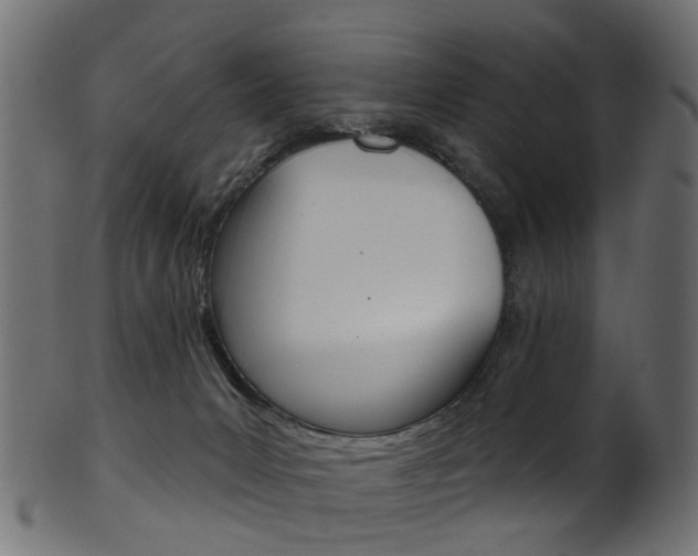 X0000102040031200807181040