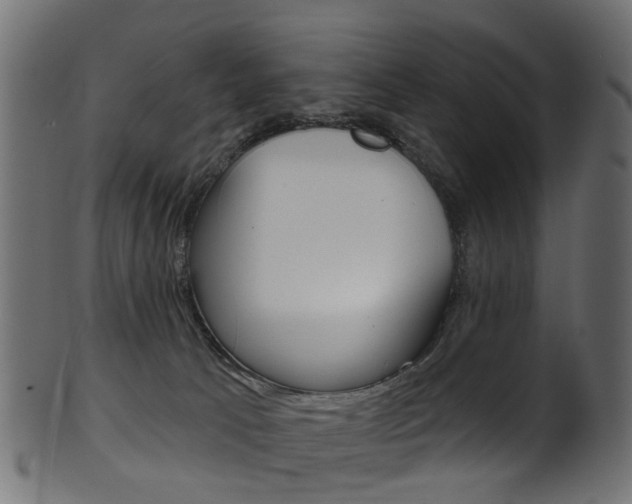 X0000102040033200807181040