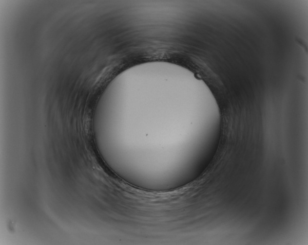 X0000102040035200807181040