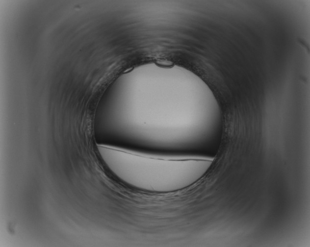 X0000102040036200807181040