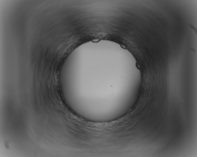 X0000102040037200807181040