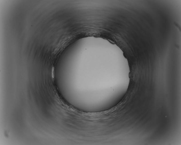 X0000102040041200807181040