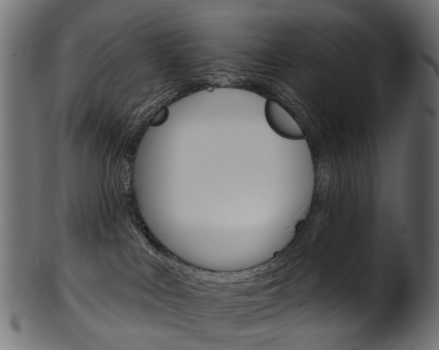 X0000102040043200807181040