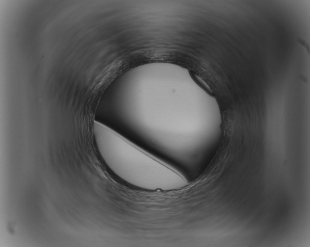 X0000102040044200807181040