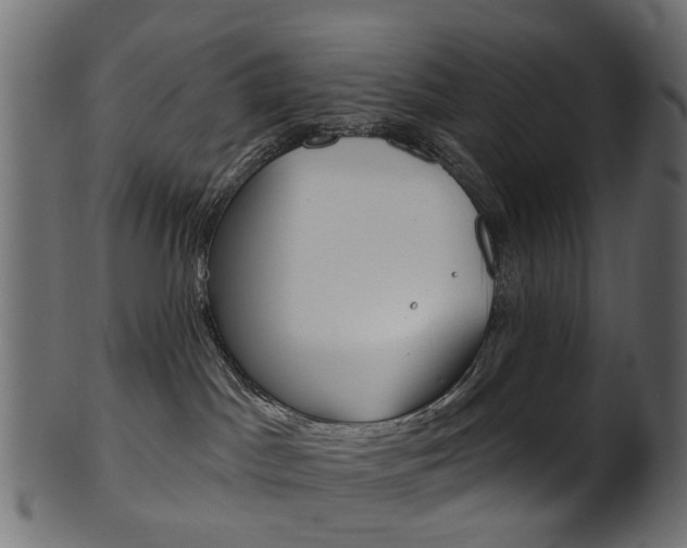 X0000102040045200807181040