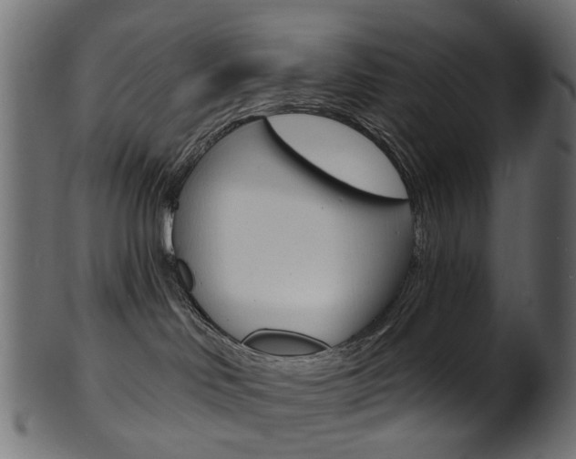 X0000102040046200807181040
