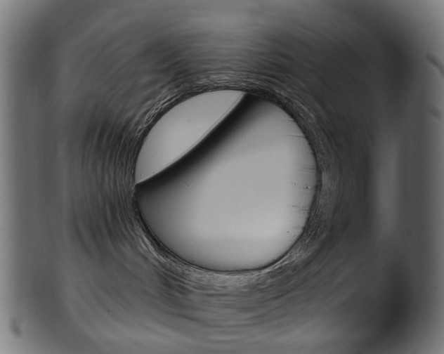 X0000102040048200807181040