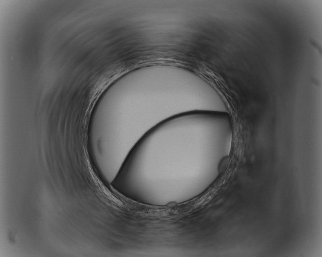 X0000102040049200807181039