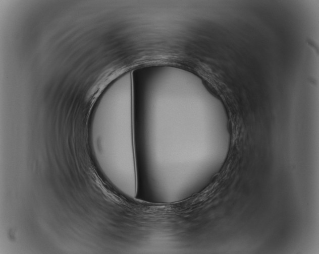 X0000102040050200807181039