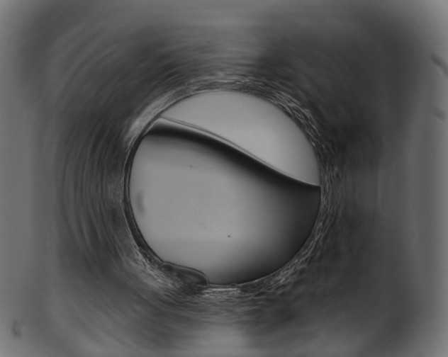 X0000102040051200807181039