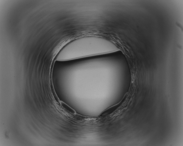 X0000102040052200807181039