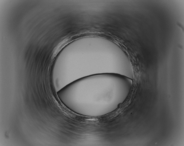 X0000102040053200807181039