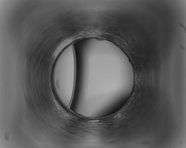 X0000102040054200807181039