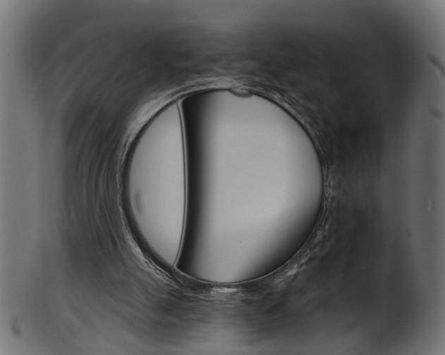 X0000102040055200807181039