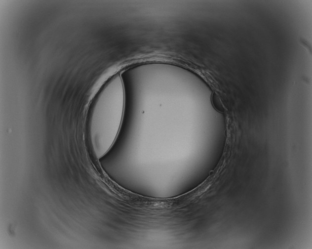 X0000102040056200807181039