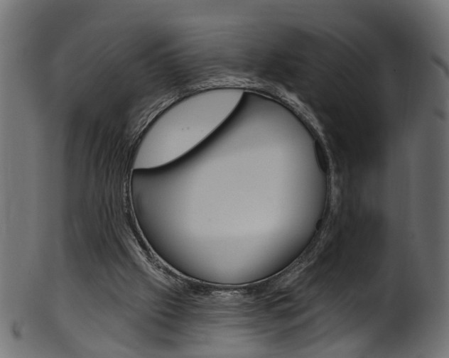 X0000102040057200807181039