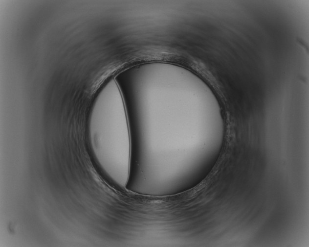 X0000102040058200807181039