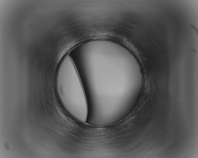 X0000102040059200807181039