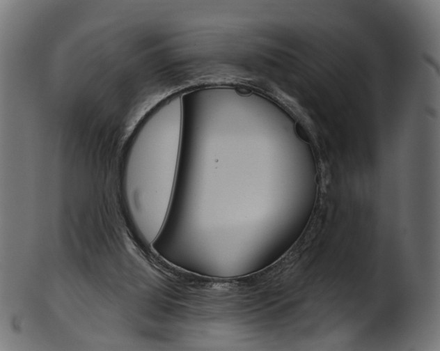 X0000102040060200807181039
