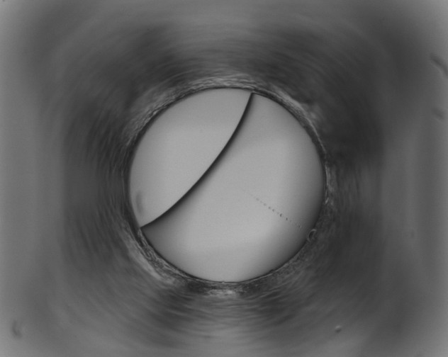 X0000102040061200807181039