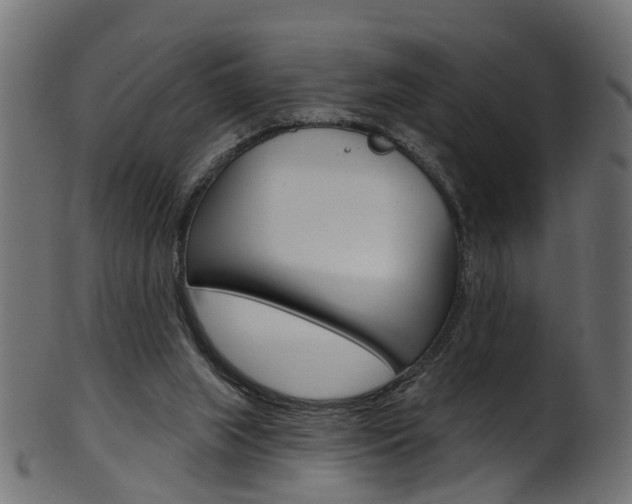 X0000102040063200807181039
