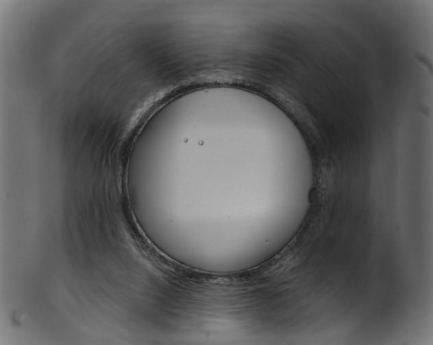 X0000102040064200807181039