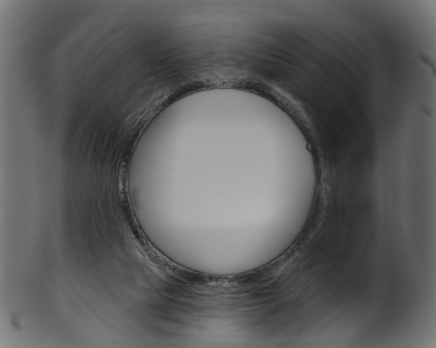 X0000102040065200807181040