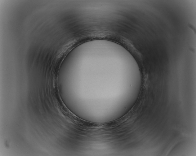 X0000102040068200807181040