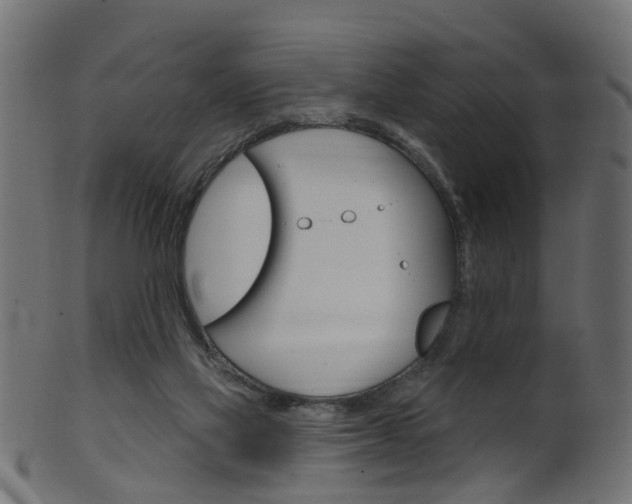 X0000102040069200807181040
