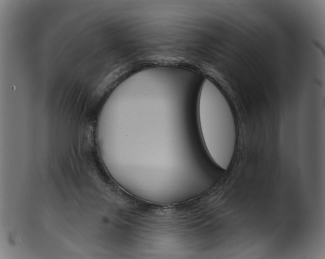 X0000102040071200807181040