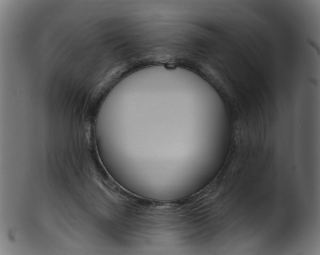 X0000102040072200807181040