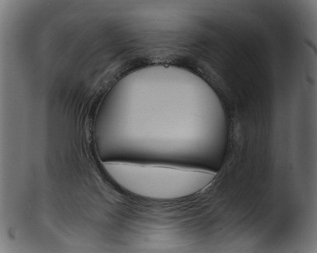 X0000102040074200807181040