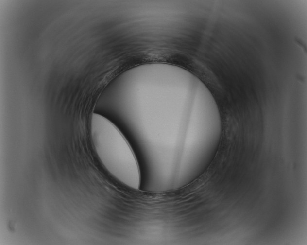 X0000102040075200807181040