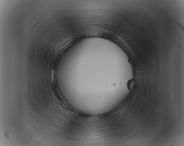 X0000102040076200807181040