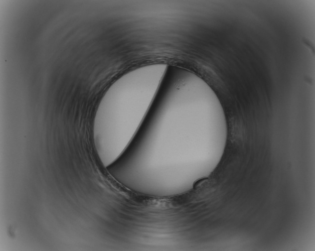 X0000102040077200807181040