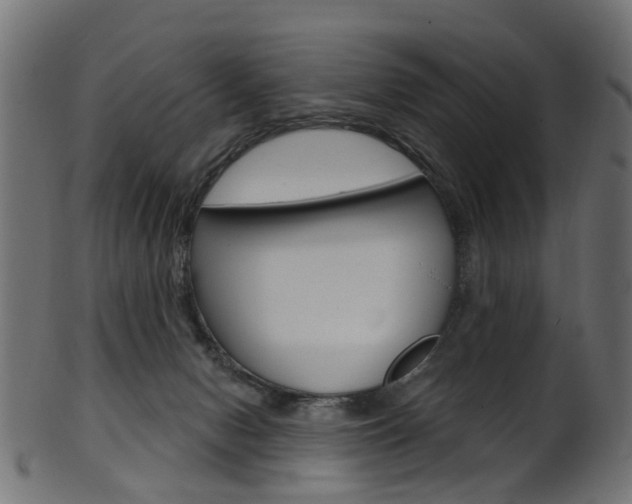 X0000102040078200807181040