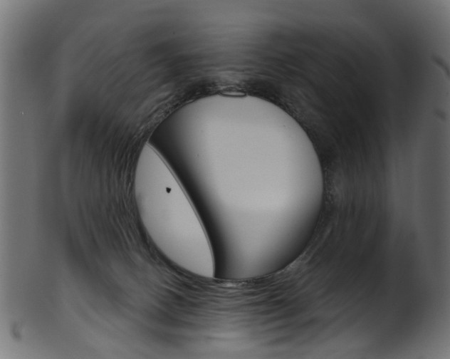 X0000102040082200807181040