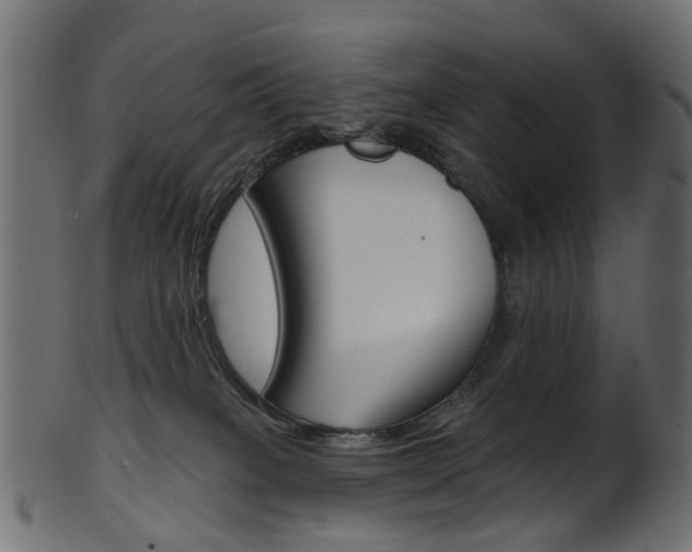 X0000102040085200807181040