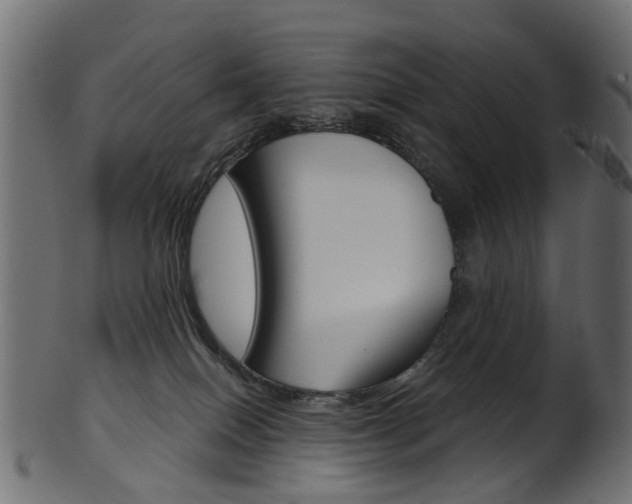 X0000102040086200807181040