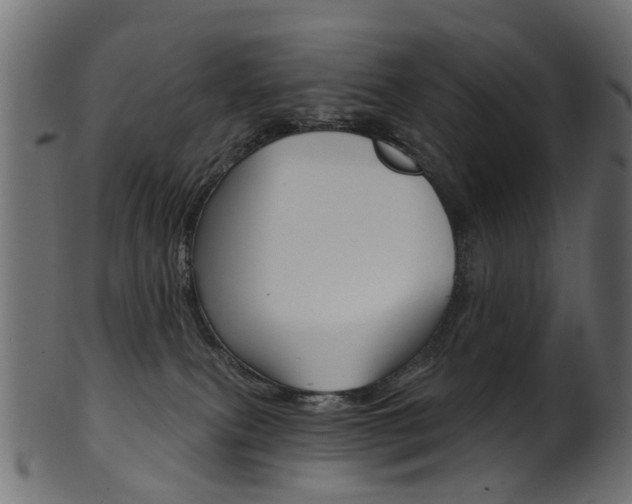 X0000102040087200807181040