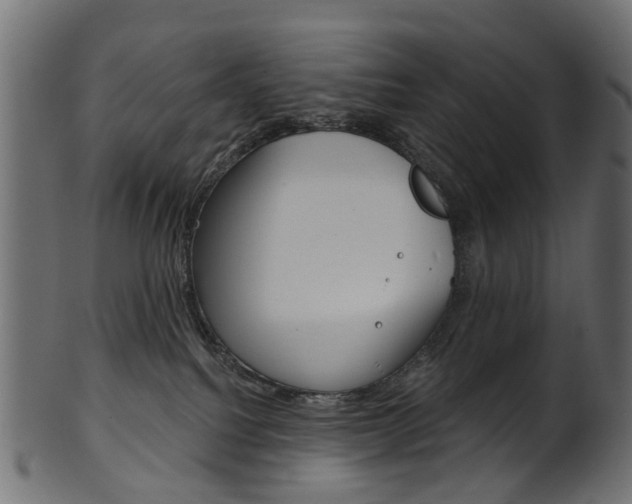 X0000102040088200807181040